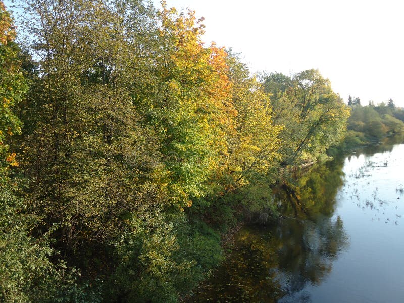 Baumflusspark-Waldwasser lizenzfreies stockbild Baumflusspark-Waldwasser lizenzfreies stockbild
