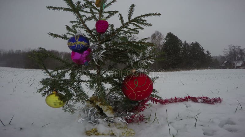 Baumtanne des Weihnachtsneuen Jahres auf Feld im Schneesturm