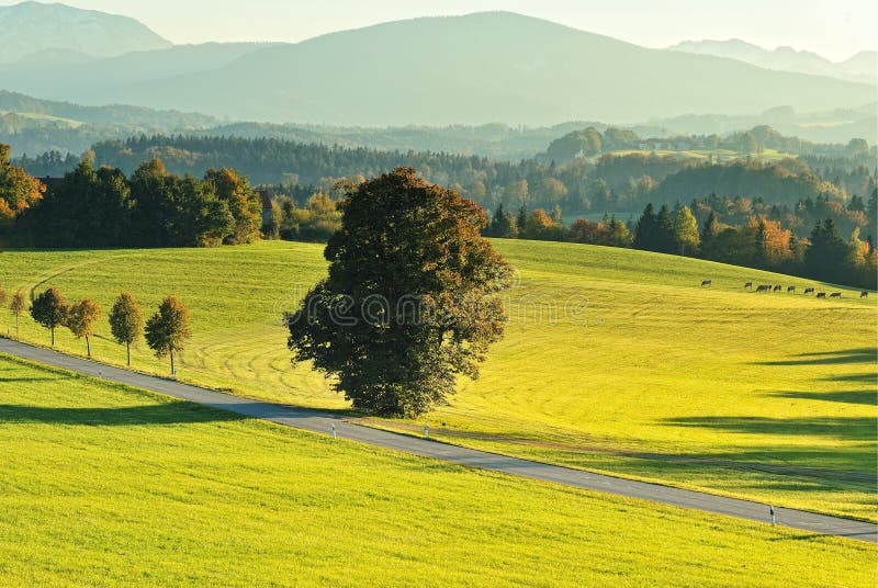 Bavaria Land in Germany in Autumn Season Stock Photo Image of land