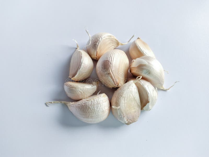 Bawang Putih Or Garlic On White Background Stock Photo Image Of Herb Bulb 188756484