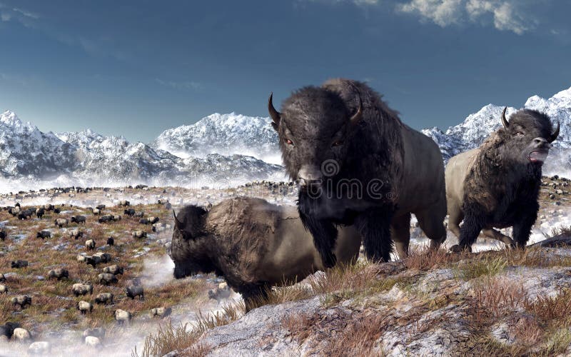 Three large bison bulls stand on a rocky hilltop. Behind them the buffalo herd grazes in a valley half covered in the winter snows of the American West. 3D rendering. Three large bison bulls stand on a rocky hilltop. Behind them the buffalo herd grazes in a valley half covered in the winter snows of the American West. 3D rendering