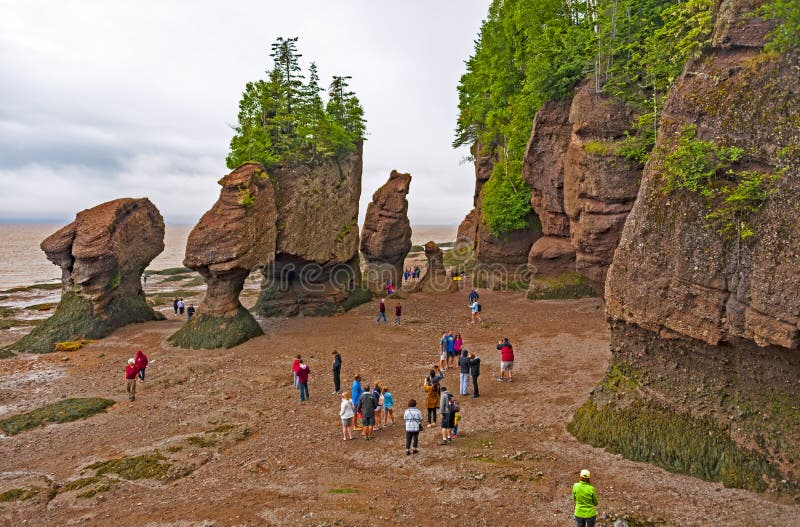 Bay of Fundy