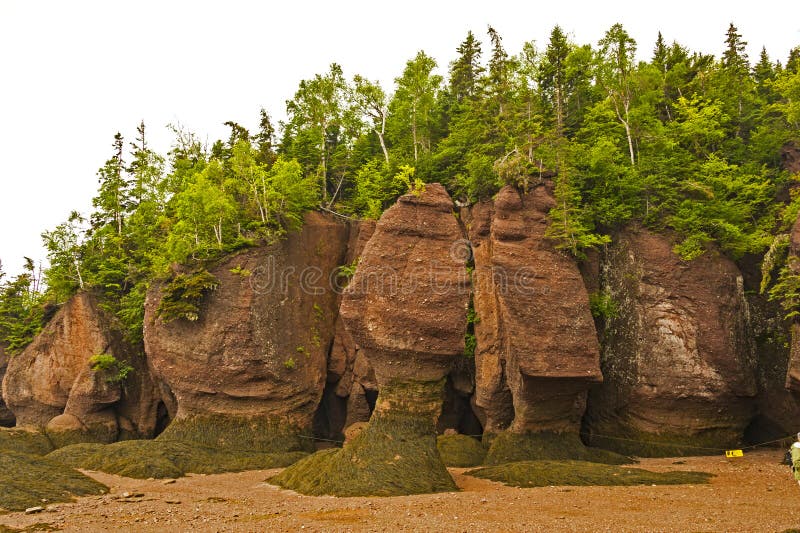 Bay of Fundy, Canada