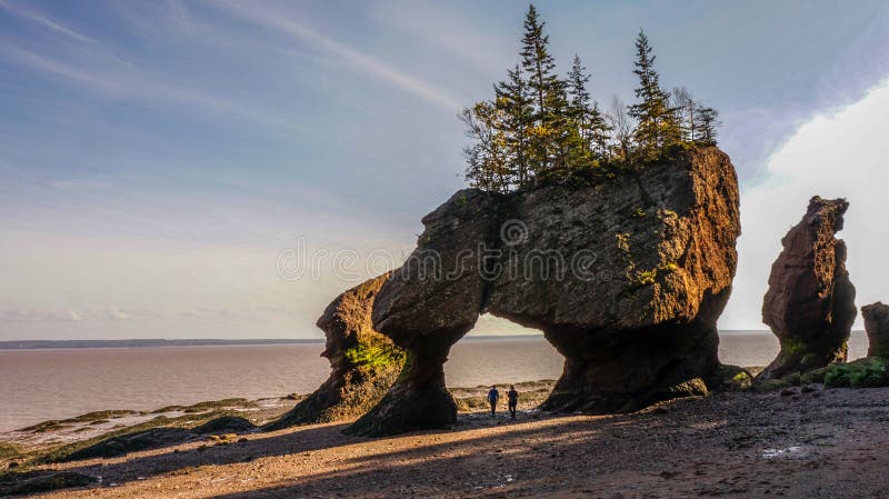 Download Gratuito de Fotos de Baía de Fundy, no Canadá