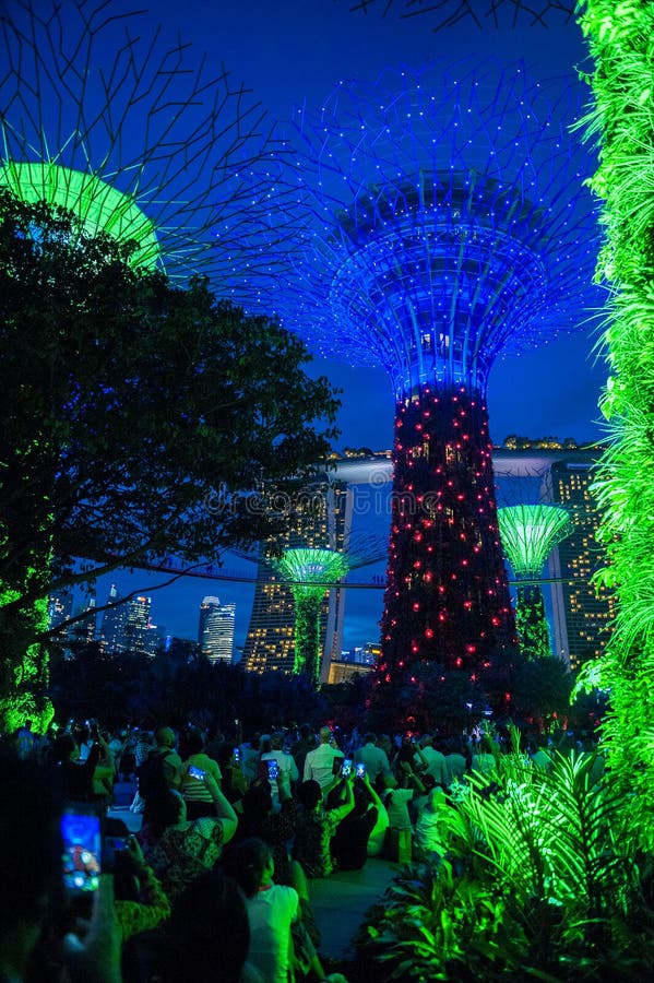 Bay gardens Singapur editorial image. Image of grove 95547185