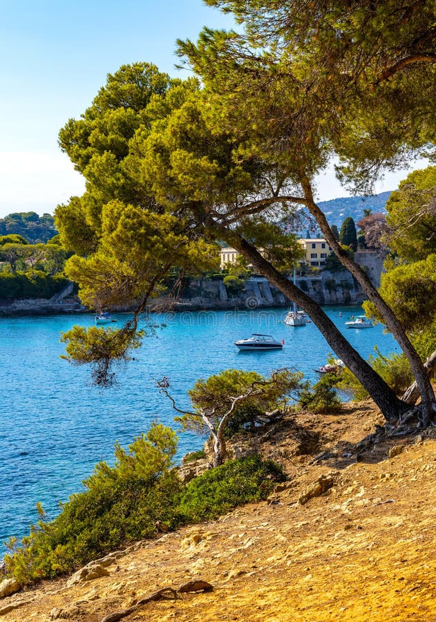 Bay And Laguna Summer Landscape Offshore Saint Jean Cap Ferrat Resort Town On Cap Ferrat Cape At 7475