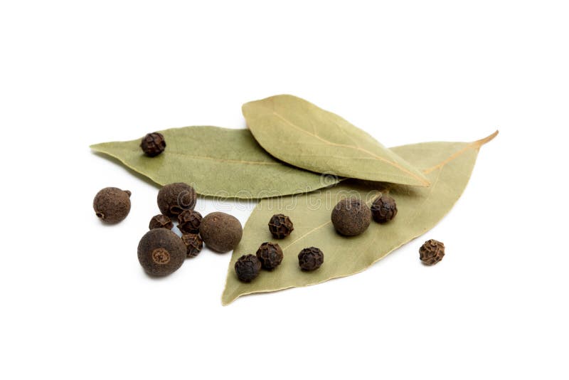 Bay Leaf, Allspice and Pepper Stock Image Image of condiment, dried