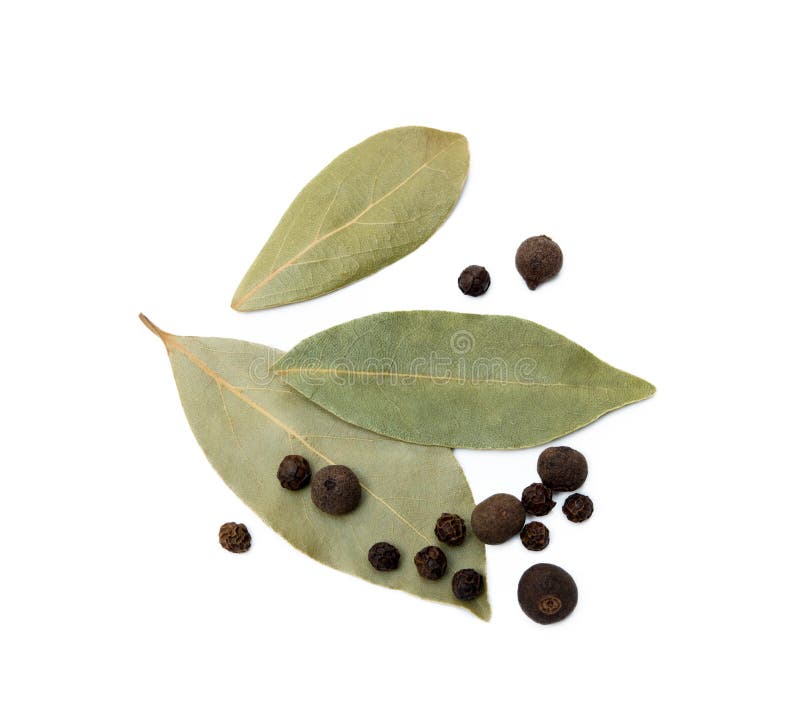 Bay Leaf, Allspice and Pepper Stock Photo Image of aromatic, group