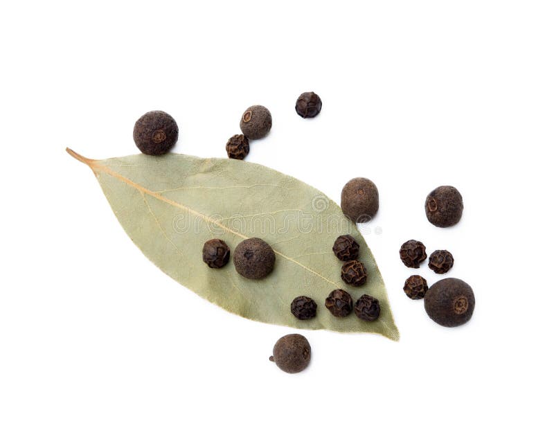 Bay Leaf, Allspice and Pepper Stock Image Image of nutrition, laurel