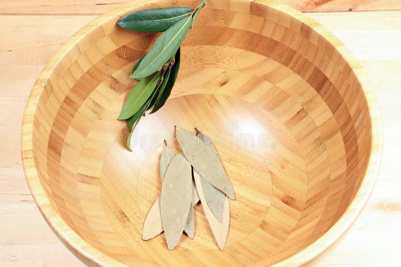 Bay leaf herb spice stock image. Image of culinary, evergreen 84352515