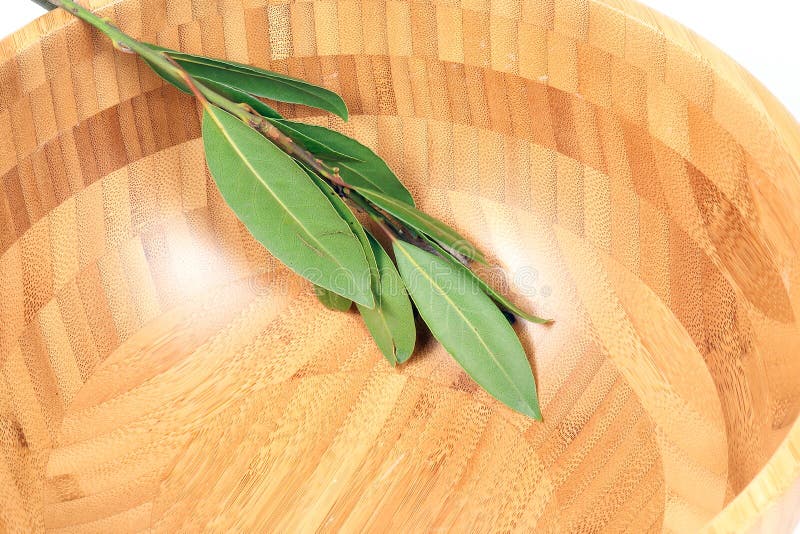 Bay leaf herb spice stock image. Image of spice, leaf 84355993
