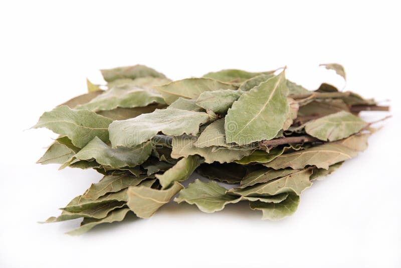 77,065 Bay Leaf Stock Photos Free & RoyaltyFree Stock Photos from