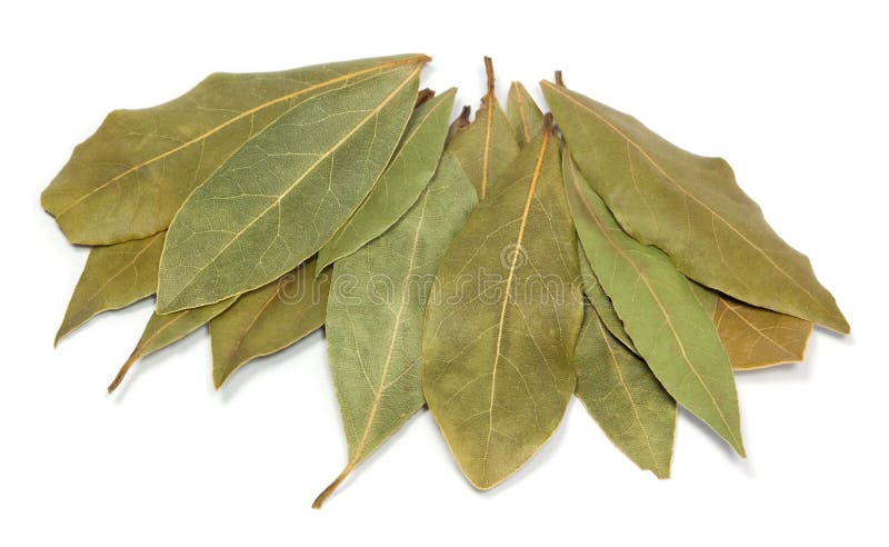 Bay Leaves