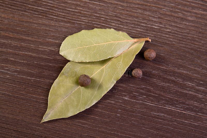 Bay leaves and allspice stock image. Image of cooking 52231235
