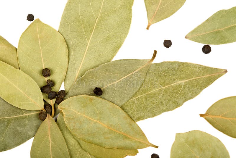 Bay leaves and black peppercorns