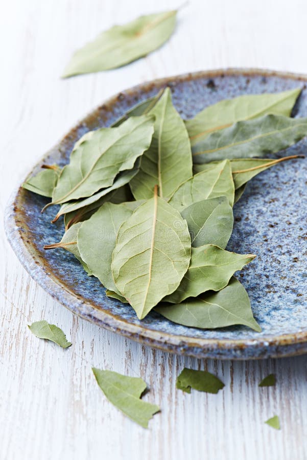 Bay Leaves stock image. Image of green, cooking, ingredient 30583893