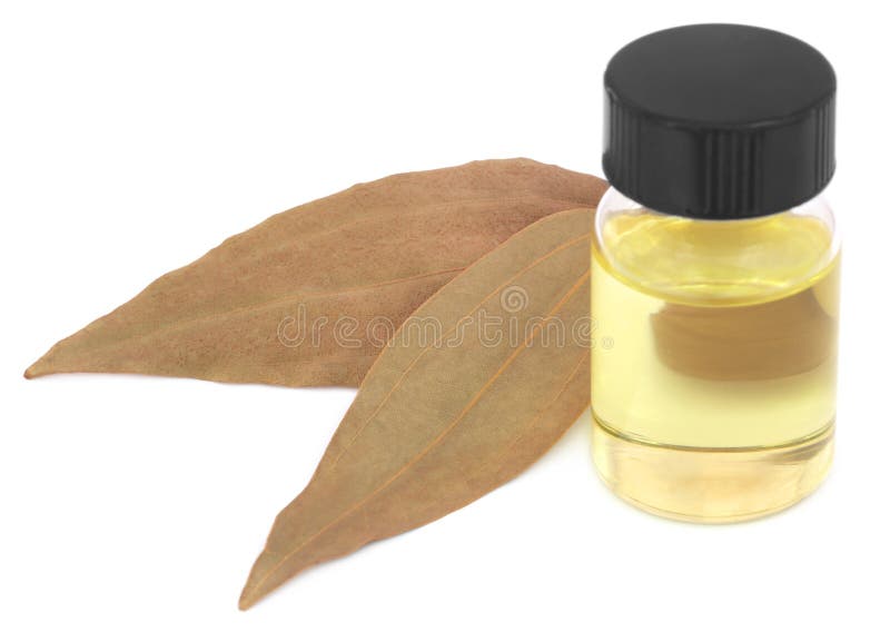 Bay Leaves with Essential Oil Stock Photo Image of natural, organic 83969770