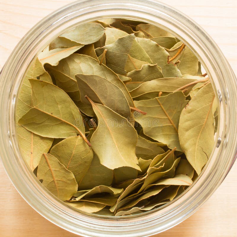 Bay leaves stock image. Image of green, closeup, shot 41775187