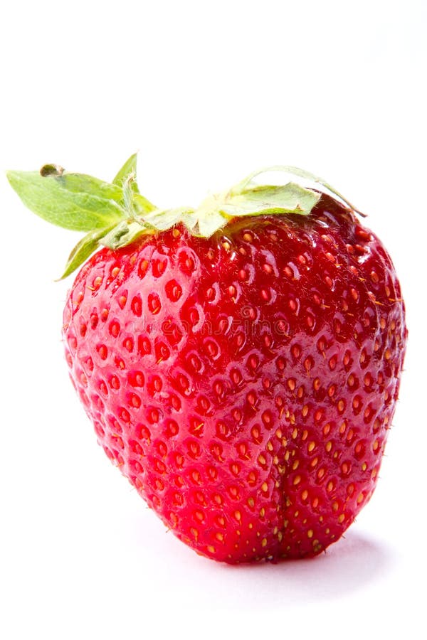 Baya de las fresas aislada en el fondo blanco foto de archivo libre de regalías Baya de las fresas aislada en el fondo blanco foto de archivo libre de regalías
