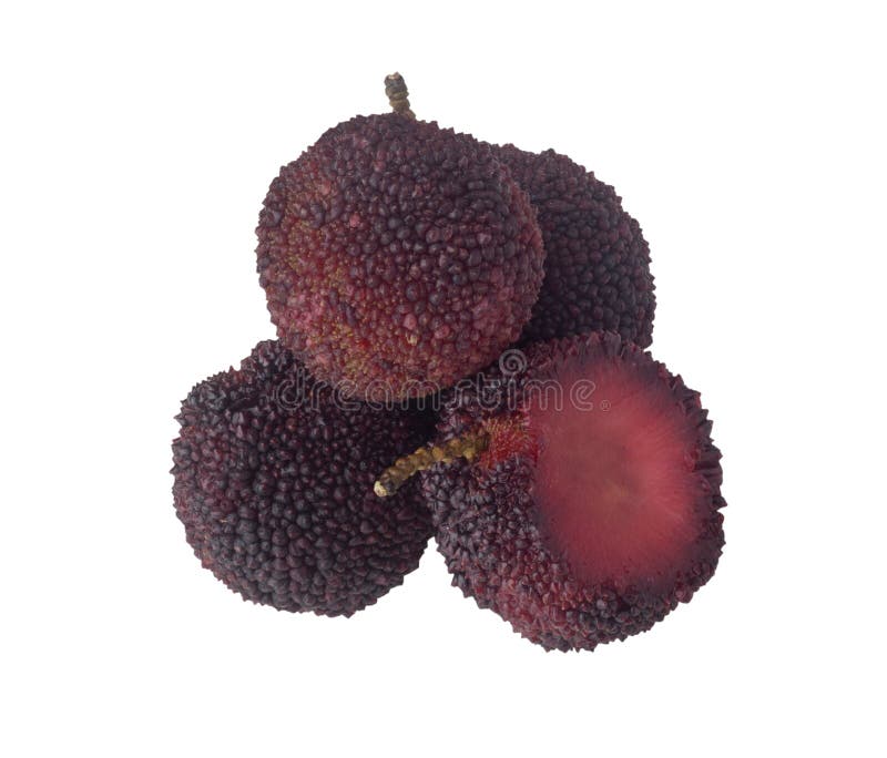 Bayberry cinese immagini stock Bayberry cinese immagini stock