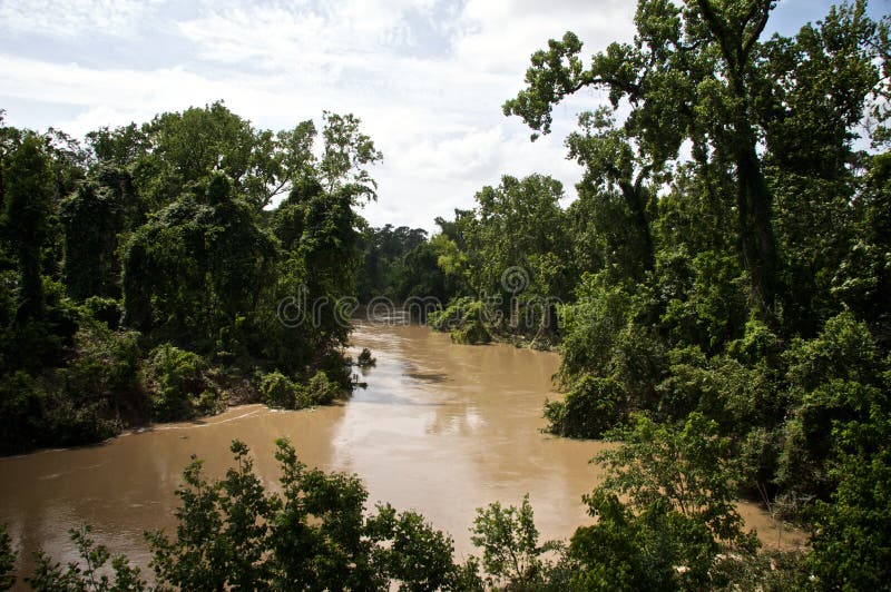 Bayou stock image. Image of texas, east, bayou, south 11881029