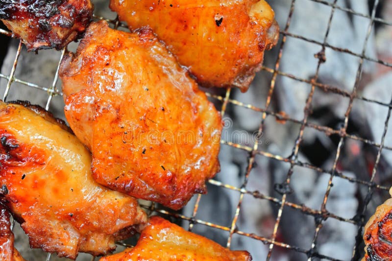 Meat on the Fire. BBQ. Meat on the Grill. Stock Photo Image of onions