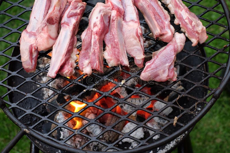 BBQ Lamb Ribs Fried on Hot Charcoal Stock Photo Image of fire, lamb