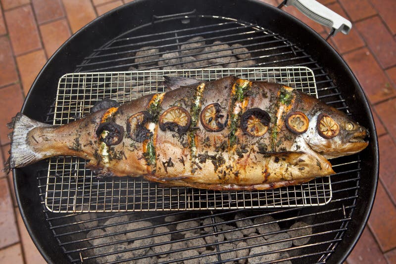 BBQ Salmon Fish stock image. Image of herbs, roasted 36374673