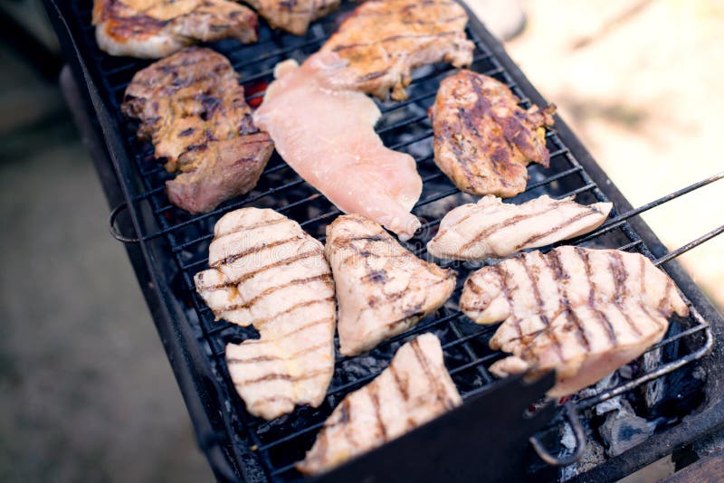 Various Cooking Meats on a Flame Grill Stock Photo Image of front