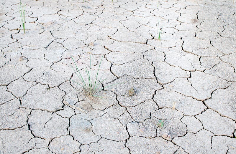 Be waterless stock photo. Image of surface, earth, environment 45654100