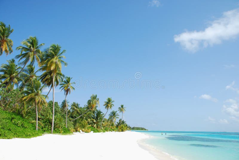 Beach royalty free stock photos