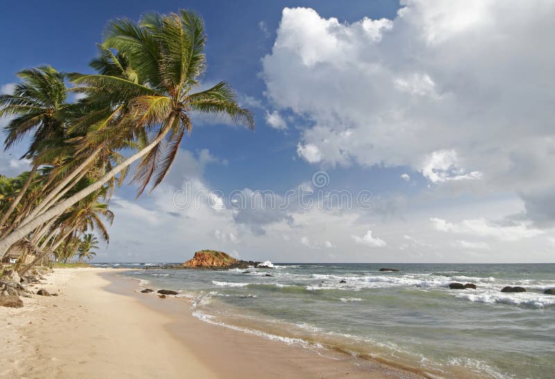 Beach stock image. Image of tree, shore, dream, beauty - 1341099