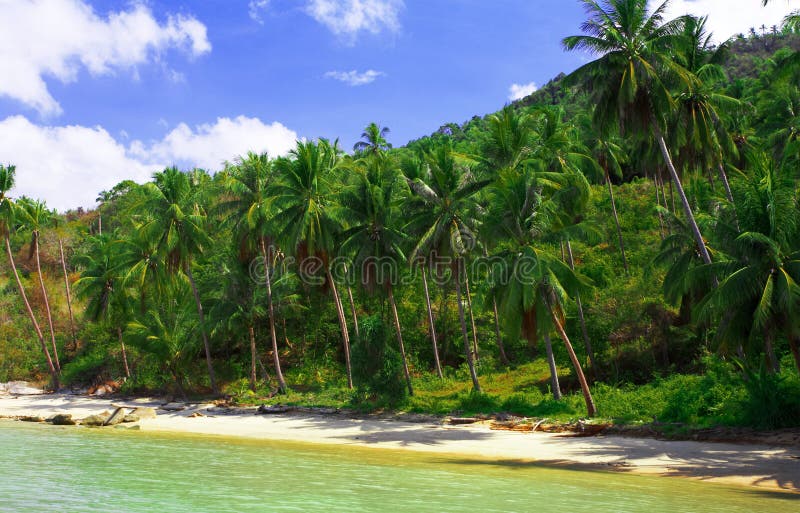 Beach