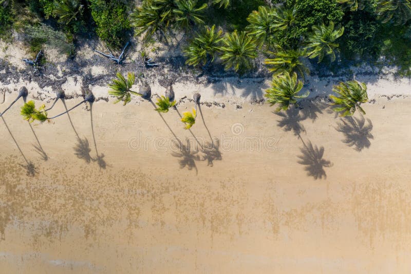 Beach aerial with palm trees, blue turquoise ocean and white sand. Magazine cover for travel, lifestyle, fashion royalty free stock photos Beach aerial with palm trees, blue turquoise ocean and white sand. Magazine cover for travel, lifestyle, fashion royalty free stock photos