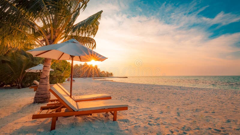 Beach background. Beautiful beach landscape. Tropical nature scene. Palm trees and blue sky. Summer holiday and vacation concept.