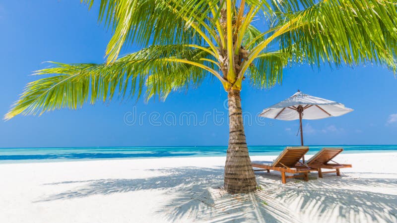 Beach background. Beautiful beach landscape. Tropical nature scene. Palm trees and blue sky. Summer holiday and vacation concept. Vacation holidays background royalty free stock images Beach background. Beautiful beach landscape. Tropical nature scene. Palm trees and blue sky. Summer holiday and vacation concept. Vacation holidays background royalty free stock images