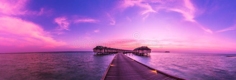 Beach background. Beautiful beach landscape. Tropical nature scene. Palm trees and blue sky. Summer holiday and vacation concept.