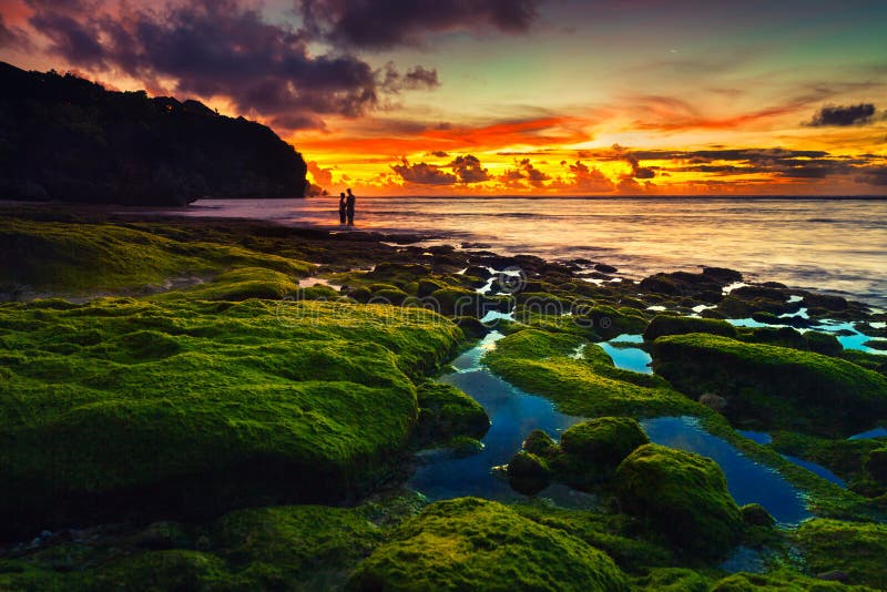 Beach Bali royalty free stock image Beach Bali royalty free stock image