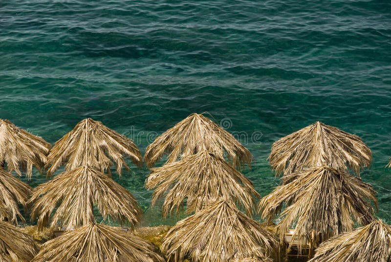 Beach Bar