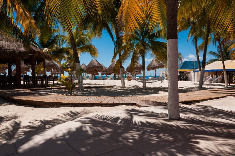 Playa en caribe, palmera árboles.