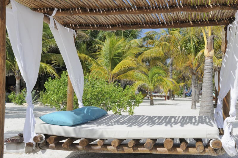 Bed on the beach. stock photo. Image of coast, blue, nature 20513660