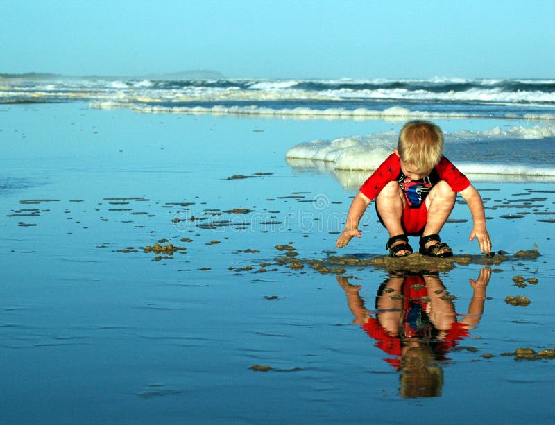 Beach Boy