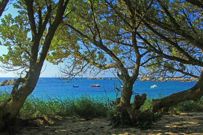 Beach in Brittany, France stock photo. Image of summer - 51380868