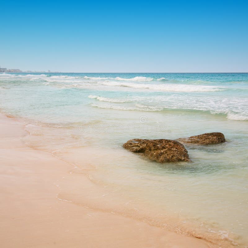 Spiral Shell on a Tropical Sandy Beach with Sunrise Over Ocean a Stock  Image - Image of tropical, vacation: 102666997