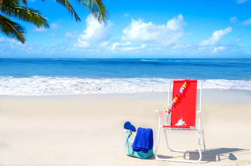 Seashell Chair stock photo. Image of resturant, empty - 19364554