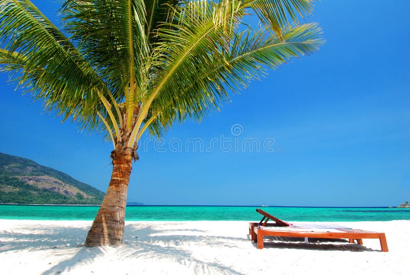Beach chair nearby coconut tree on white sand, blue sky and turquoise sea