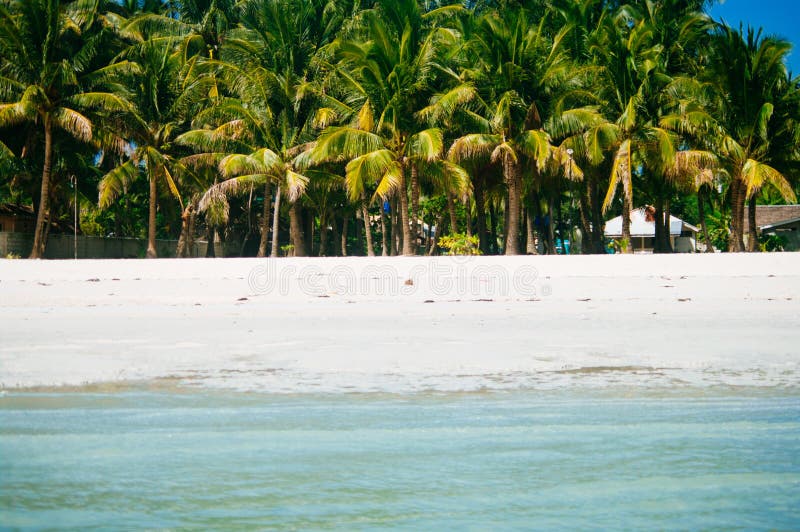 Beach chairs, palm trees and beautiful white sand beach in tropical island