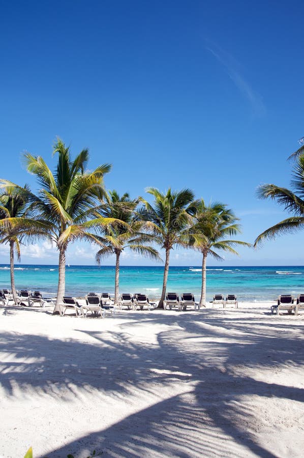 Beach chairs at a resort stock photo. Image of mexico 16629478