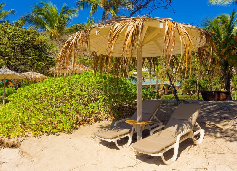 Beach Chairs At A Resort In The Caribbean Stock Image Image of bright