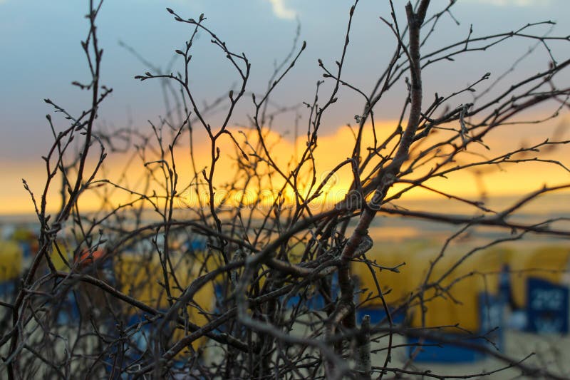 Beach chairs at sunset: coastal landscape by the sea royalty free stock images